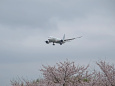 成田空港