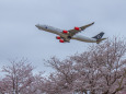 成田空港