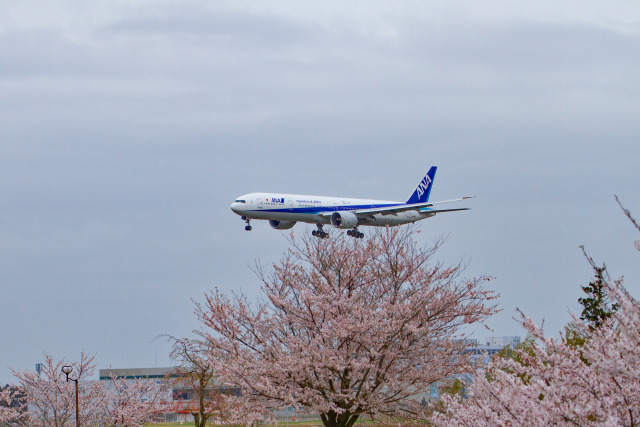 成田空港