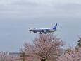 成田空港