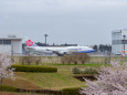 成田空港