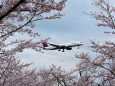 成田空港