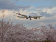 成田空港