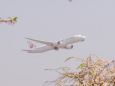 成田空港