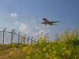成田空港