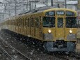 雪の中を駆け抜ける