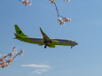 成田空港