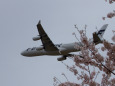 成田空港