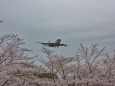 成田空港