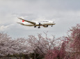 成田空港