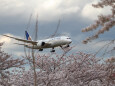 成田空港