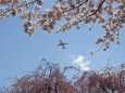 成田空港