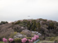 成田空港