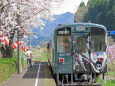 桜の季節 13 隼ラッピング列車