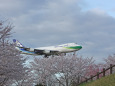 成田空港
