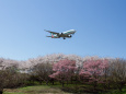 成田空港