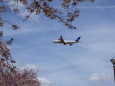 成田空港