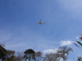 成田空港