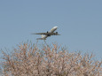 成田空港