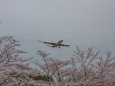 成田空港