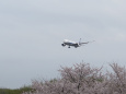 成田空港