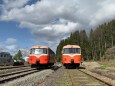 南部縦貫鉄道レールバス並び
